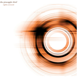Pineapple Thief Tightly Unwound VINYL LP