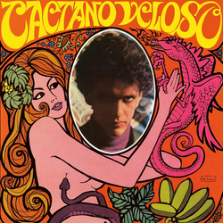 Caetano Veloso Caetano Veloso VINYL LP