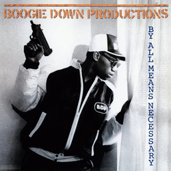 Boogie Down Productions By All Means Necessary VINYL LP