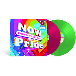 Various Artists Now That's What I Call Pride VINYL LP