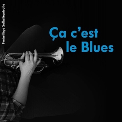 Fsk (Freiwillige Selbstkontrolle) Ca C'est Le Blues VINYL LP