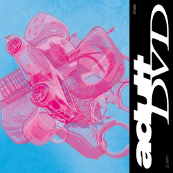 Adult Dvd Adult Dvd vinyl LP