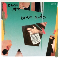 David Moss Dense Band VINYL LP