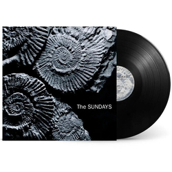 Sundays Reading Writing & Arithmetic 140-Gram Black Vinyl VINYL LP