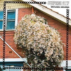Surprise Chef Dayling Savings vinyl LP