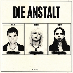 Die Anstalt Die Anstalt Red Colored Vinyl with Zine VINYL LP