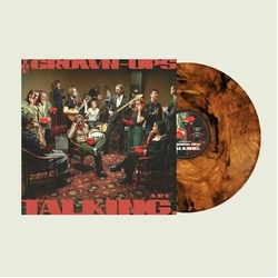 Demob Happy Ggrown Ups Are Talking Tortoise Shell VINYL LP