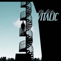 Vitalic OK Cowboy Limited Edition VINYL LP