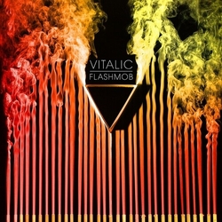 Vitalic Flashmob Limited Edition VINYL LP