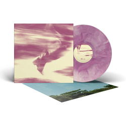 Bees Made Honey in the Vein Tree In Between Strides 140Gm Lp Colored VINYL LP