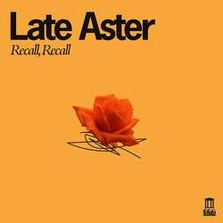 Late Aster Recall Recall vinyl LP