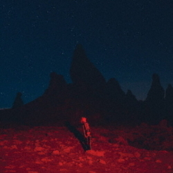 Phoebe Bridgers Punisher Japan Import SACD