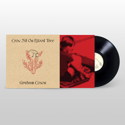 Graham Coxon Crow Sit on Blood Tree VINYL LP