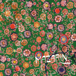 Mazarin Were Already There vinyl LP