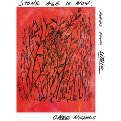 Caleb Nichols Stone Age Is Now Poems From Lithic vinyl LP
