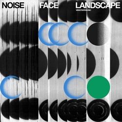 Videotapemusic Noise Face Landscape vinyl LP