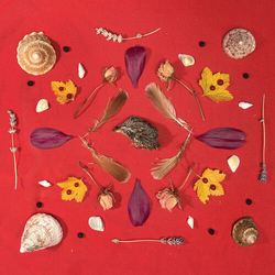 Secret Family Grouse Head Talisman vinyl LP