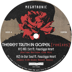 Megatronic There's Truth in Gospel (Remixes) VINYL 12INCH
