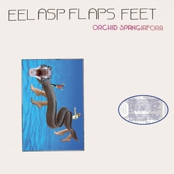 Orchid Spangiafora Eel Asp Flaps Feet vinyl LP