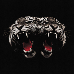 Royal Blood Dead Company vinyl LP