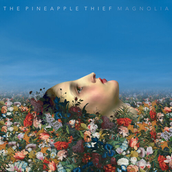 Pineapple Thief Magnolia VINYL LP