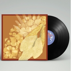 Pp Rebel Devotee vinyl LP