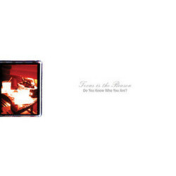 Texas Is The Reason Do You Know Who You Are? Vinyl 2 LP
