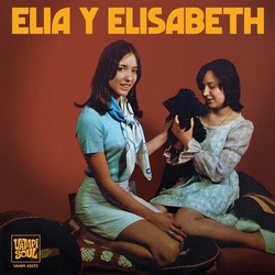 Elia y Elizabeth Fue Una Lagrima / Cae La Lluvia Vinyl LP