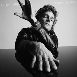 Brendan Benson Dear Life Vinyl LP