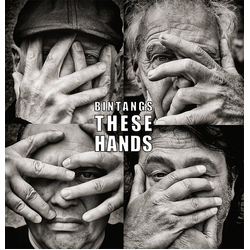Bintangs These Hands Vinyl LP