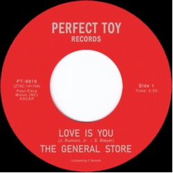 General Store Love Is You VINYL