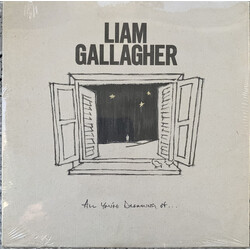 Liam Gallagher All You're Dreaming Of... Vinyl LP