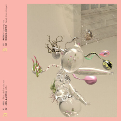 ABSL / Sugar (47) / Anetha Don't Rush To Grow Up Vinyl LP