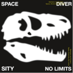 Damiano Von Erckert Space Diversity No Limits Vinyl 12"