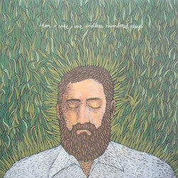 Iron And Wine Our Endless Numbered Days Vinyl LP