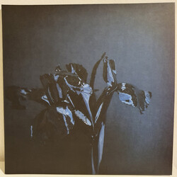 A Swarm Of The Sun The Rifts Vinyl 2 LP