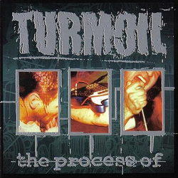 Turmoil The Process Of... Vinyl LP