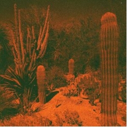 Cameron Knowler / Eli Winter Anticipation Vinyl LP