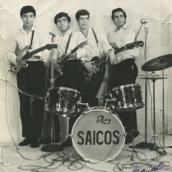 Los Saicos Demolicion Vinyl LP