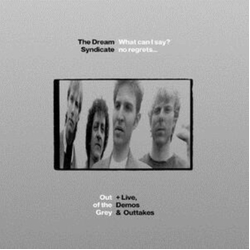 The Dream Syndicate What Can I Say? No Regrets... Vinyl LP