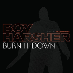 Boy Harsher Burn It Down Vinyl
