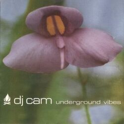 DJ Cam Underground Vibes Vinyl LP