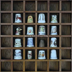 Iron And Wine Woman King Vinyl LP