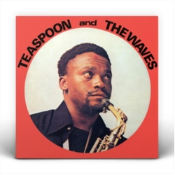 Teaspoon Ndelu / The Waves (12) Teaspoon & The Waves Vinyl LP