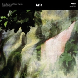 Enzo Carniel Aria Vinyl LP