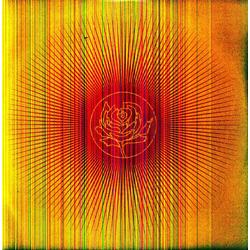 Ryan Adams & The Cardinals Easy Tiger Vinyl LP