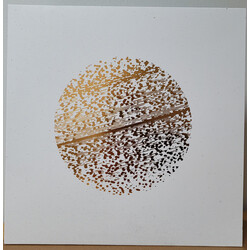 The Gathering Beautiful Distortion Vinyl LP