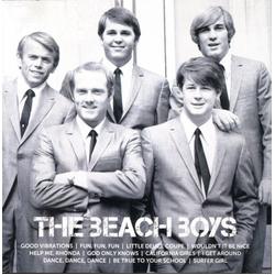 The Beach Boys Icon Vinyl LP