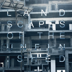 Piano Interrupted Landscape Of The Unfinished / 180Gr. -Hq- Vinyl LP
