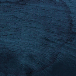 Multicast Dynamics Aquatic System Vinyl LP